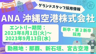 グランドスタッフ採用情報　ANA沖縄空港株式会社 2024年度入社  沖縄空港