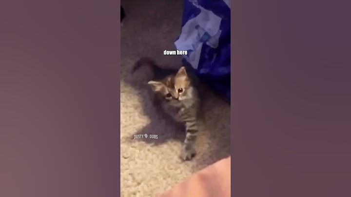 he just needs his mice crispies 🥣 🎥: unknown #voiceover #funny #shorts