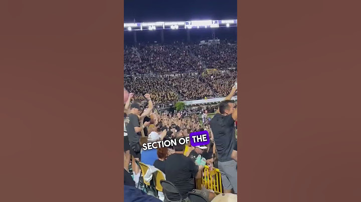 Vote for the student section of the year!