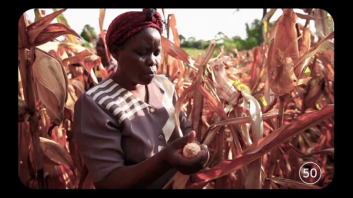 GMOs: Give It A Minute