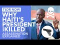 The Assassination of Haiti's President: What We Still Don't Know - TLDR Now