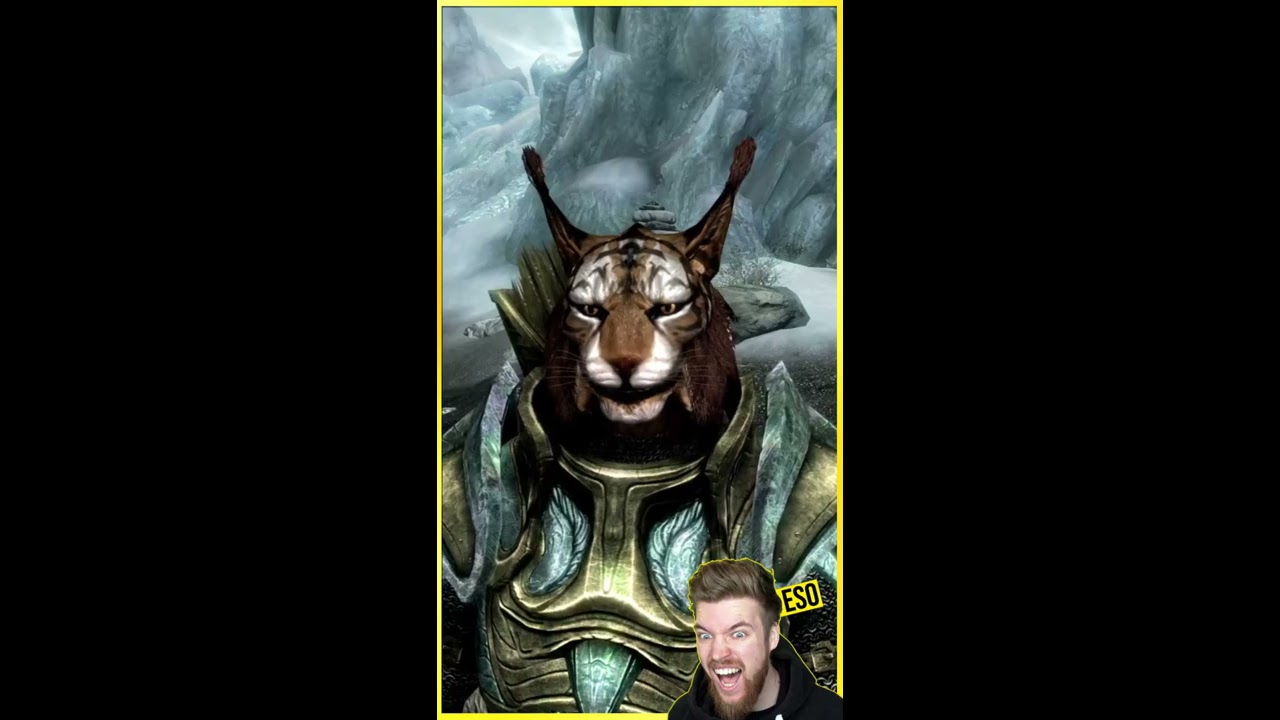 Have You Ever Noticed Khajiits Doing This In Skyrim 