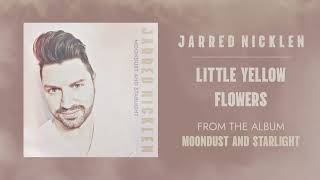 Jarred Nicklen - Little Yellow Flowers