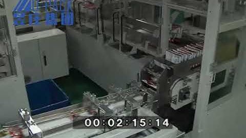 wraparound case packer for bags