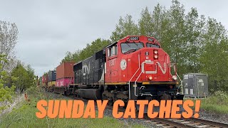 (Sunday Catches) (CN 8307/8302 Leading, SD70M-2s, And More) VIA P001, CN Q102, Q101, M303, And Q105