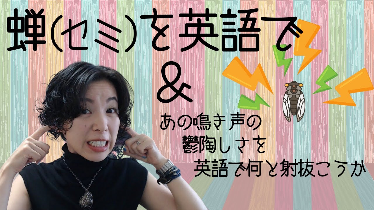 蝉 Cicada の発音 あの鳴き声の鬱陶しさを英語で何と射抜こうか 英語発音チューニング体操 Day4 生配信 Youtube