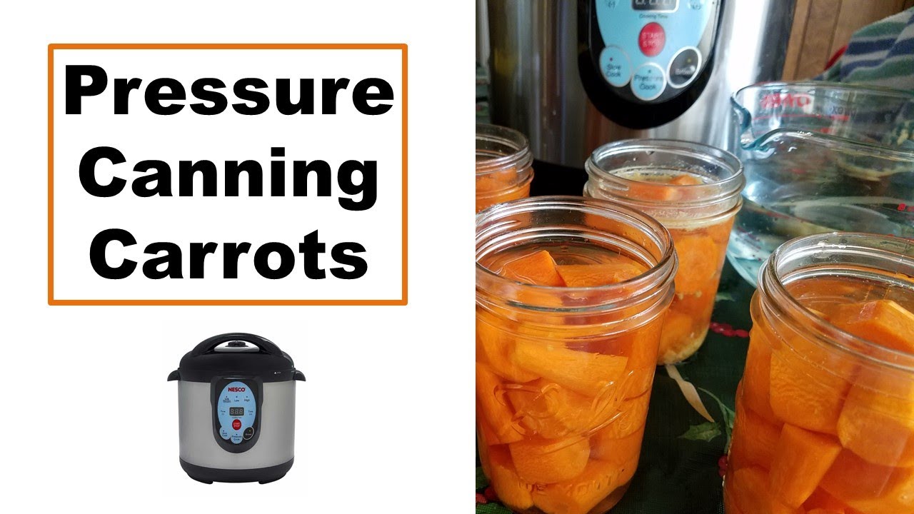 How to Pressure Can in the Carey Electric Canner