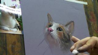 SANY0005.MP4