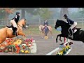 There&#39;s Going To Be A Galloping Scene Today! Horse Show! Day 267 (09/26/20)