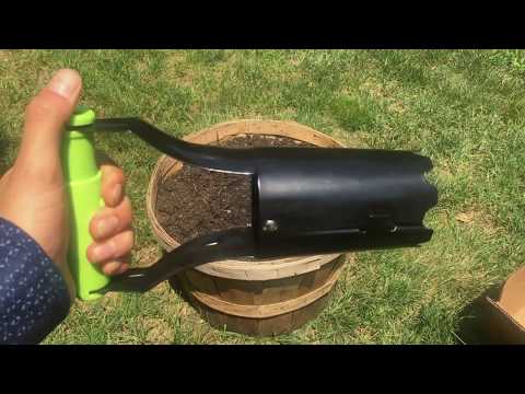 How to Plant Flower Bulbs