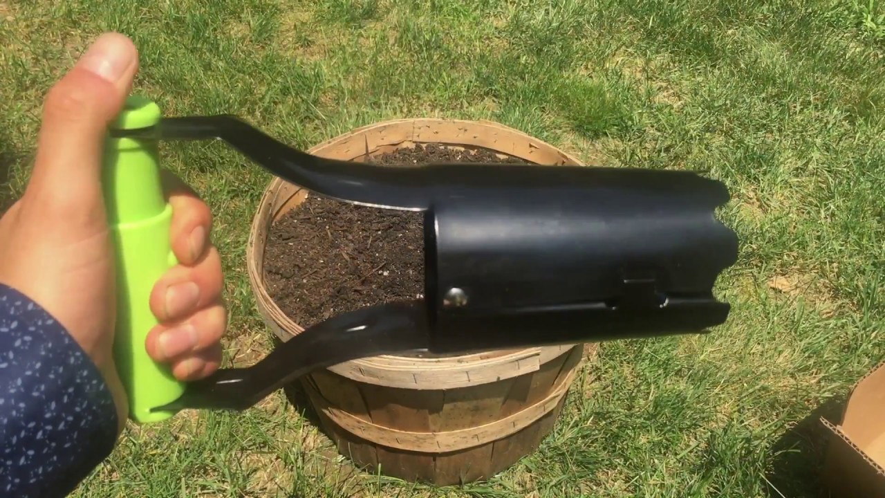 How to Plant Flower Bulbs YouTube