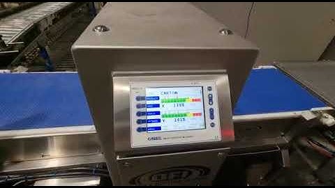 OFI Metal Detector with Auto Reject for Cartons