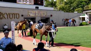 20100529  蹴上特別1000万下パドック　D1900