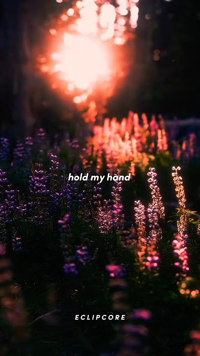 LIFE GOES ON 💗 // BTS // EDIT 💗 #englishlyrics #kpoplyrics #lifegoesonbts #btslyrics