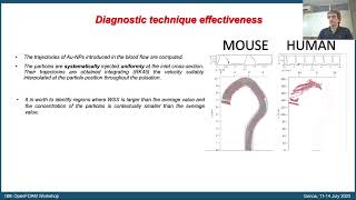 18th OpenFOAM Workshop - Biofluid dynamics and biomedical applications 2