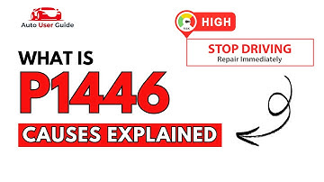 What is P1446 : Engine Error Code Causes Explained