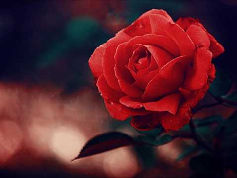 The Duprees ~ " Why Don't You Believe Me " ❤️♫ 1963