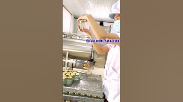 Khám Phá Quá Trình Sản Xuất Tổ Yến Chưng Sẵn Golden Bay Trên Dây Chuyền Khép Kín Hiện Đại