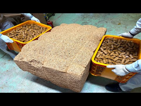 コルク栓を大量生産するプロセス。日本で唯一コルク栓を作る工場。