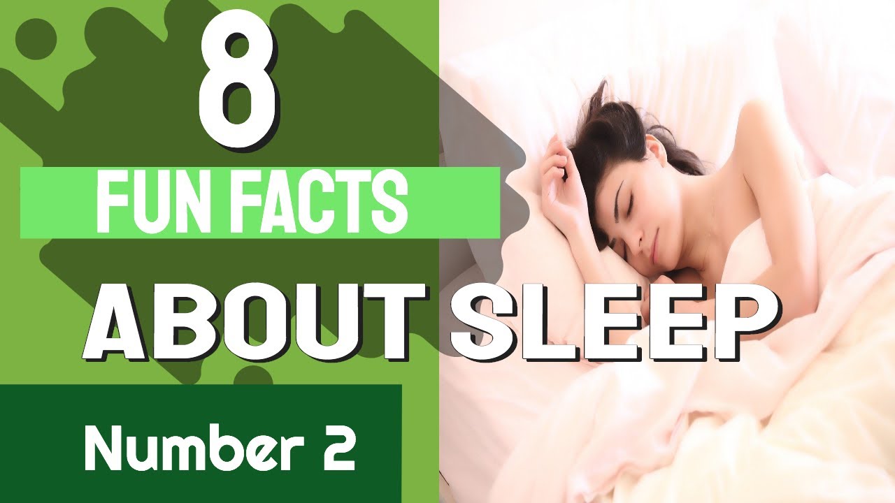 8 Fun Facts About Sleep, Number 2 YouTube