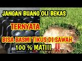 Tak disangka‼️Cara membasmi tikus dengan oli bekas tab motor yang sangat efektif