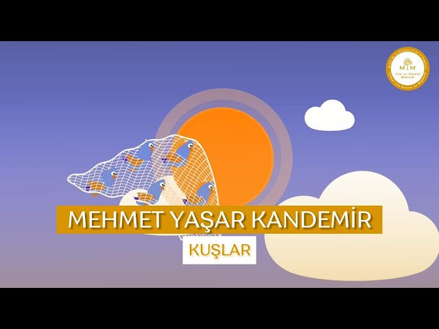 Mehmet Yaşar Kandemir - Kuşlar