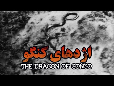 بزرگترین مار جهان اژدهای کنگو فیلم مستند کوتاه The Biggest Snake In The World 