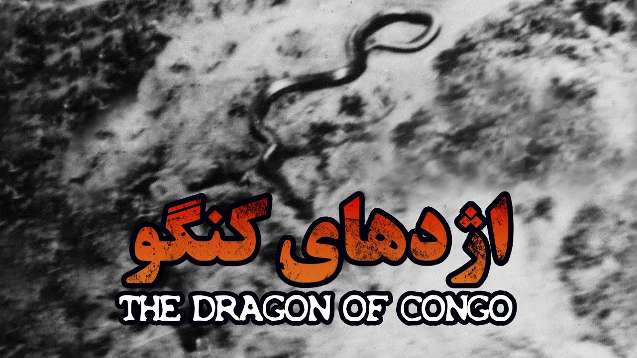 The Biggest Snake In The World The