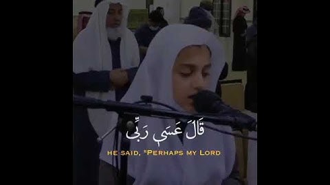 سورة القصص | القارئ علي عبدالسلام