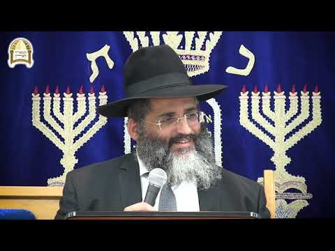 כללים נפלאים לחינוך הילדים ובניין הבית היהודי ובפרט בימי בין המצרים והחופש- הרב ישראל אברג'ל שליט"א