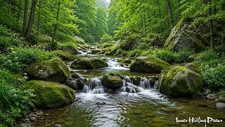 Inner Healing Music For The Nervous System Reset🌿Piano Relaxing Music &amp; Nature Sounds For Deep Sleep