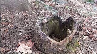 Download Lagu Bulgaria Loven Park - one of the most beautiful places in the world. a.C.м MP3