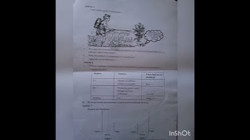 std 7  basic science first term exam