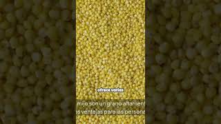 ¡El Secreto Nutricional que los Mayores Necesitan! Huesos Fuertes Garantizados.