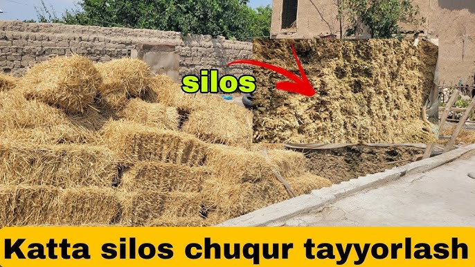 Porno u stol ostida uni off jerks