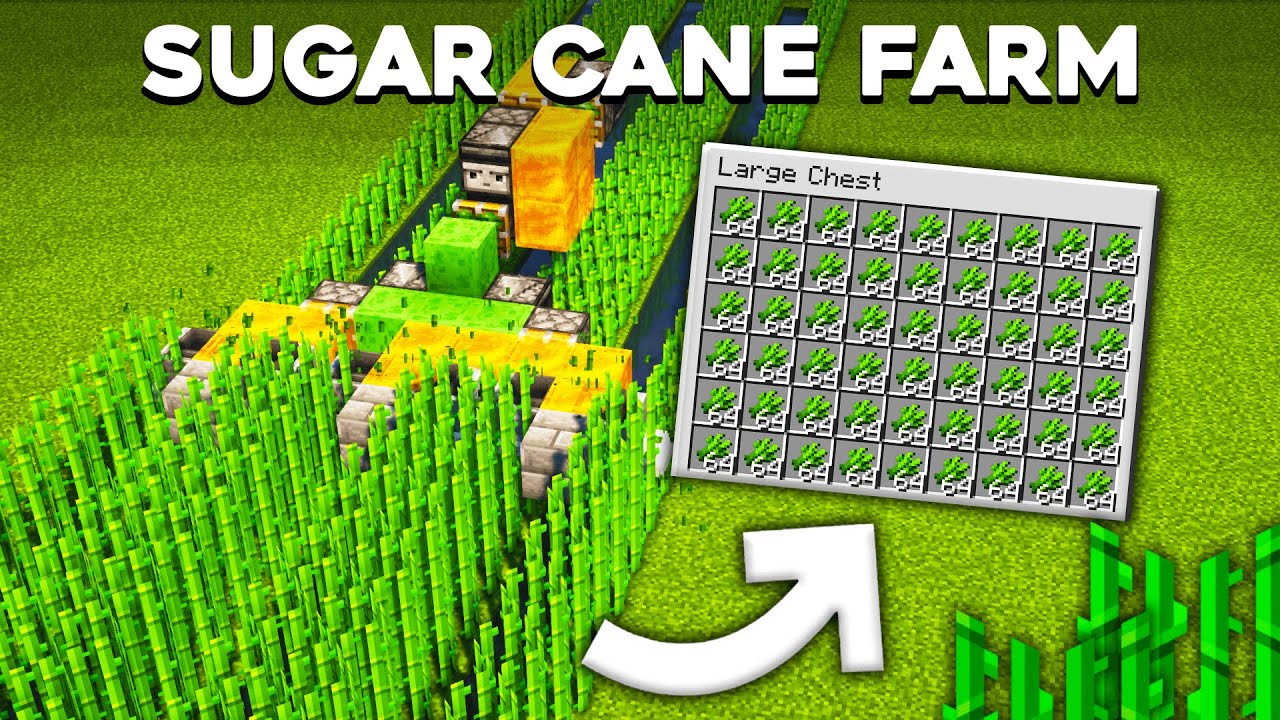 Minecraft 1.19 Sugar Cane Farm With Automatic Harvester YouTube