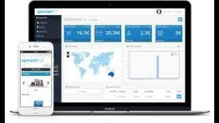 OpenCart Tutorial - How to make your OpenCart store dashboard look professional