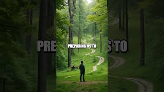 Leadership Through Intuitive Decision-Making