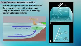 Allman-Goshen-College-Oceanography-L-15: Surface Currents