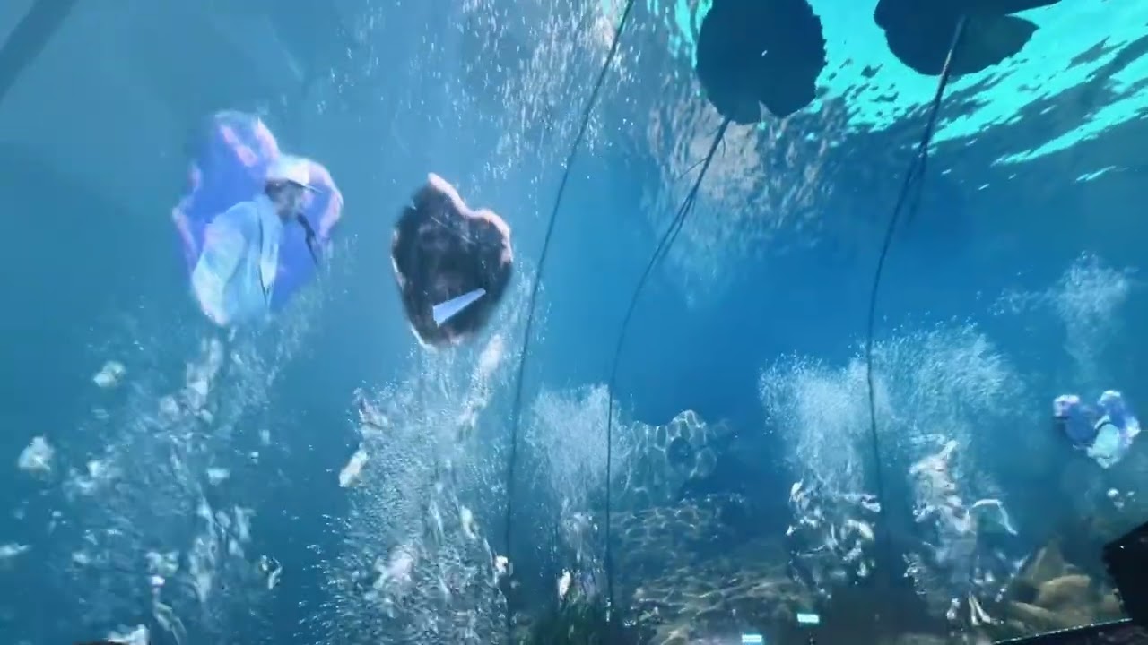 Zac Brown Band “I Ain’t Worried About It” Live at The Sphere 12/5/25 Opening Night Las Vegas 