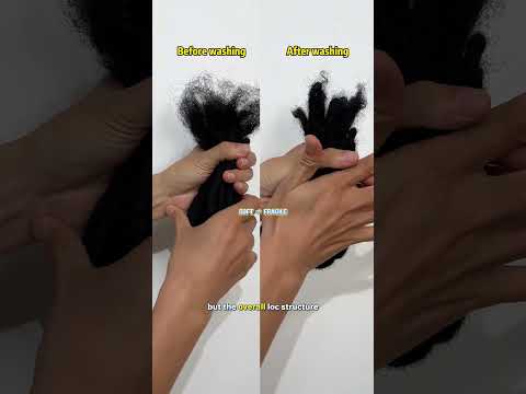 Soft Locs get softer after washing… will they break? 🤔 #daixidreadology #humanhair #locs