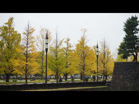 レイン 雨上がりの風景