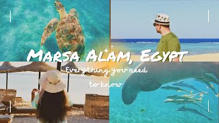 Watch this before visiting Marsa Alam| Egypts hidden gem 🇪🇬|Things to do in Marsa Alam