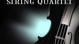 Not The American Average Msq Performs Asking Alexandria By Midnite String Quartet