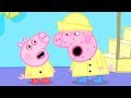 Heo Peppa - Tập Đầy Đủ: Không Khỏe Lắm | Phim Hoạt Hình Tiếng Việt 🐷