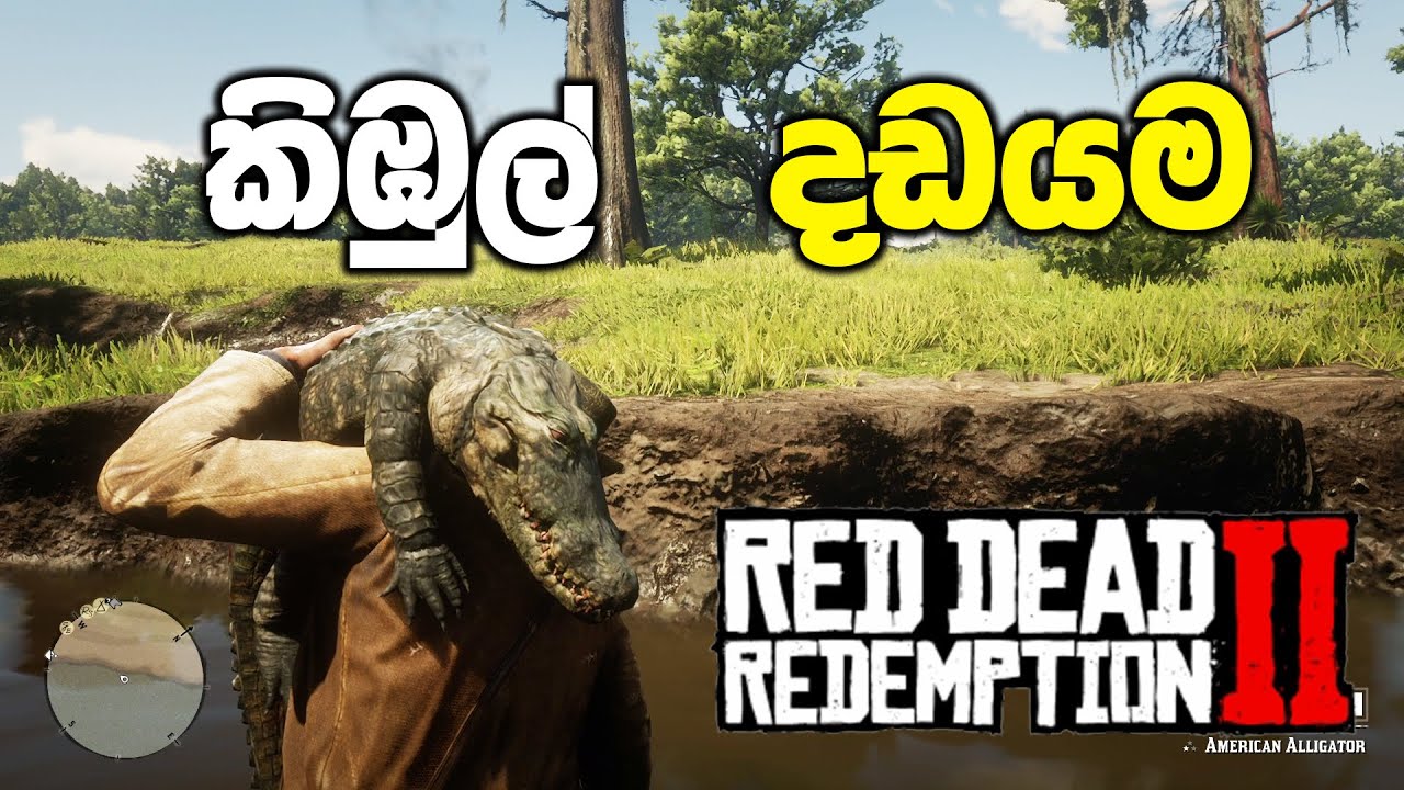 කිඹුල්ලු දඩයම් කරන්න යමුද | Red Dead Redemption 2 Sinhala Gameplay