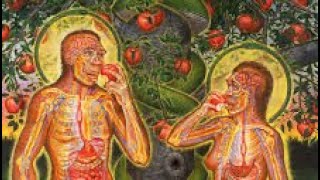 Adam & Eve or Atom & Electron