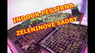 Indoor Pěstírna Sadby A Její Zásadní Problémy