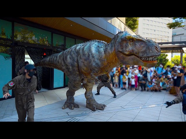 GREEN SPRINGS】DINO-A-LIVEティラノサウルス ✖ 館長登場！レア会