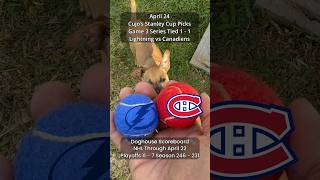 Cujo’s NHL Picks | Tampa Bay Lightning vs Montreal Canadiens 🏒 04-24-2026 #CujoCatches